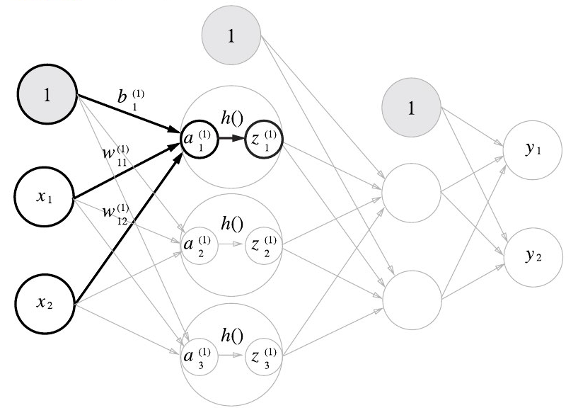입력층에서 1층으로 신호 전달